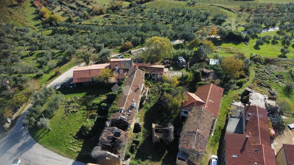 Casa Momjan, Buje, 1.962m2