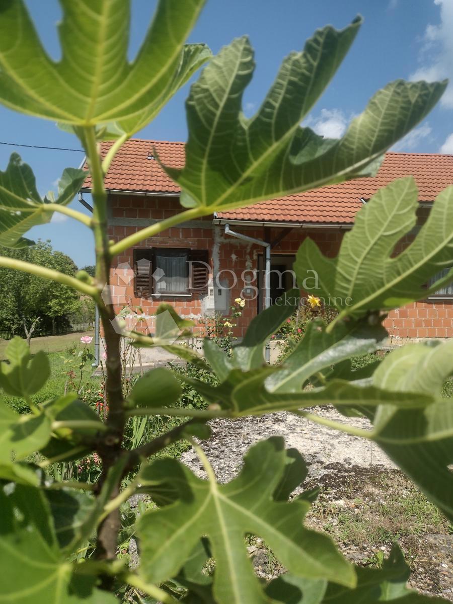 Casa Čremušnica, Gvozd, 60m2