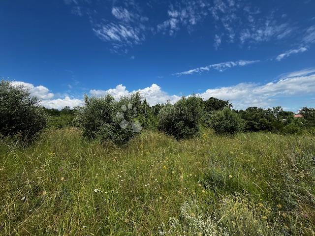 Terreno Kavran, Marčana, 1.288m2