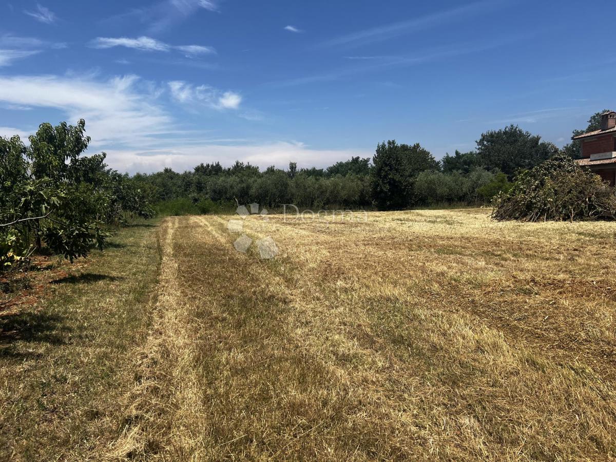 Terreno edificabile soleggiato di forma regolare