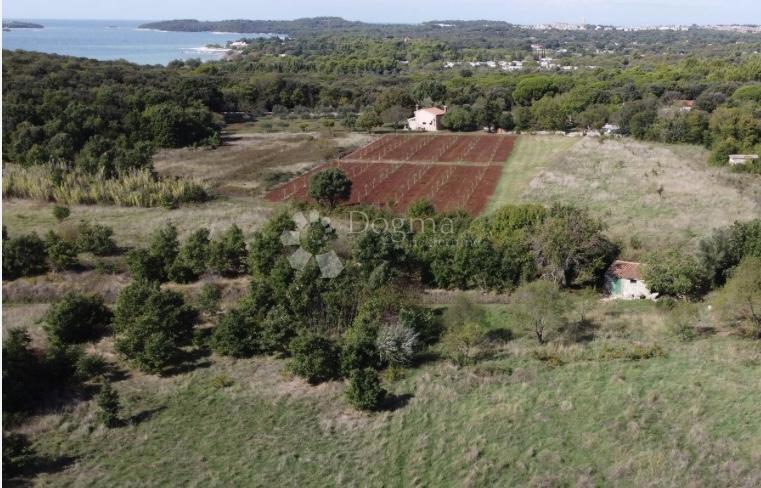 Terreno Rovinj, 2.288m2