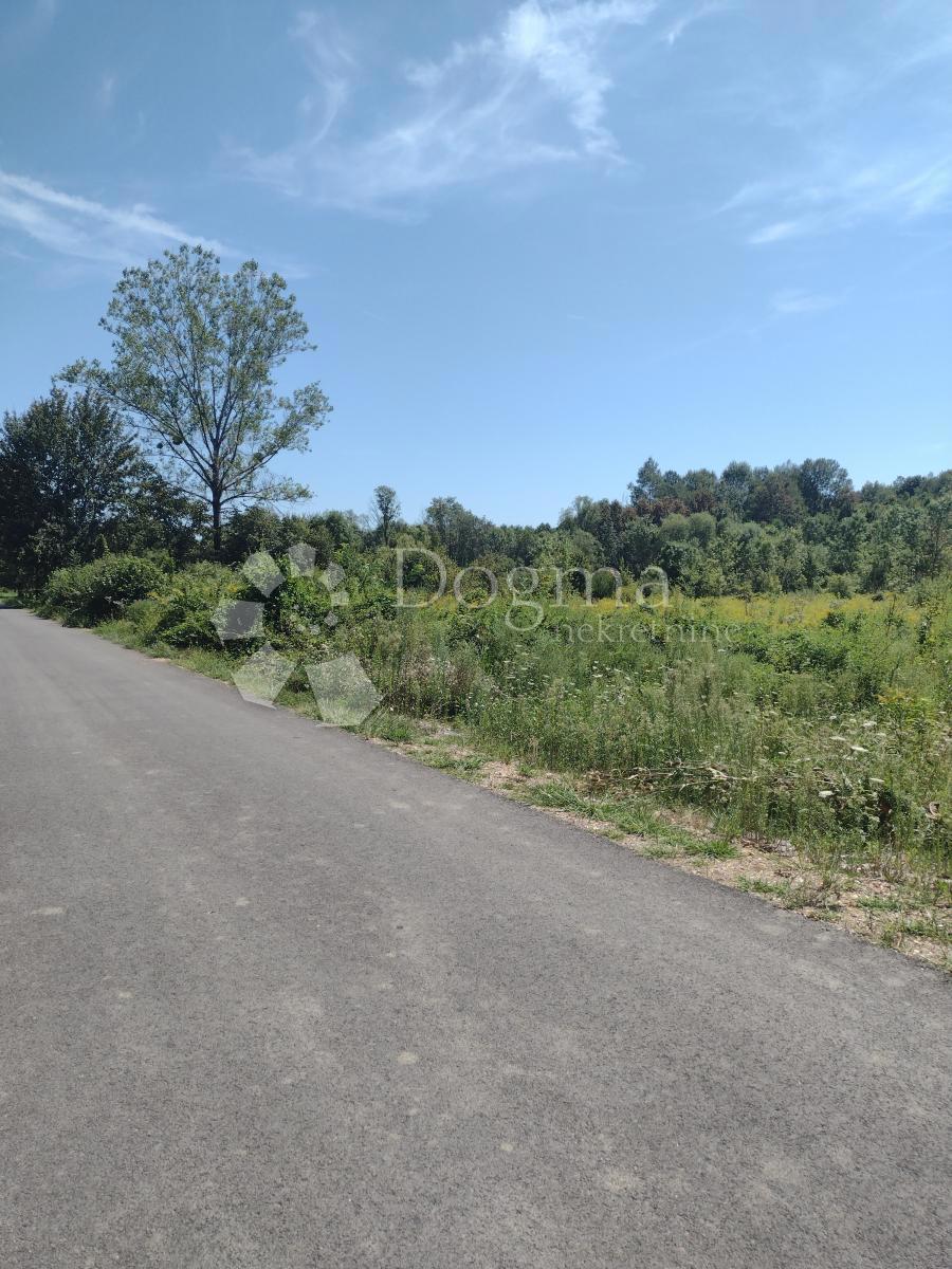 Terreno Svinica,118603m2