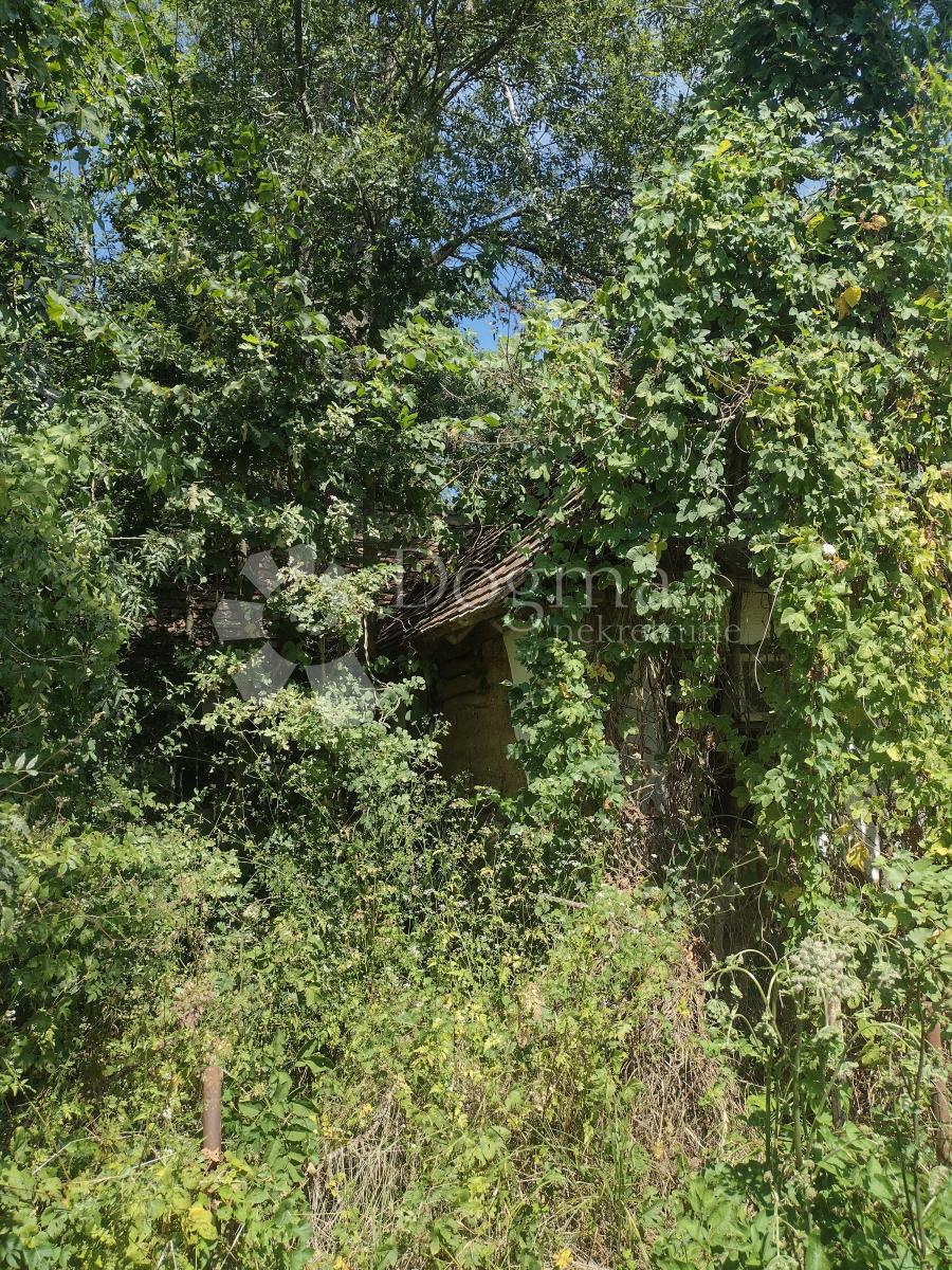 Terreno Svinica,118603m2