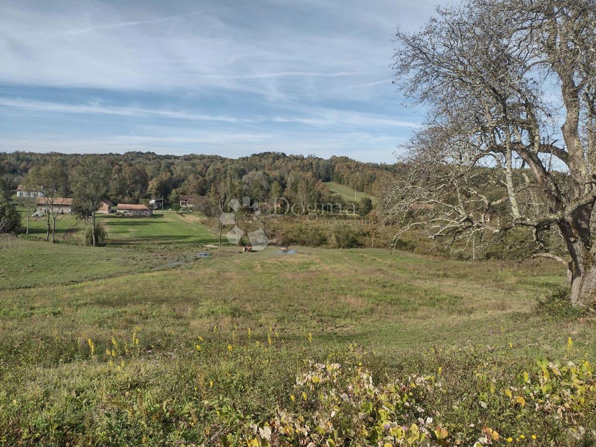 Terreno Svinica,118603m2