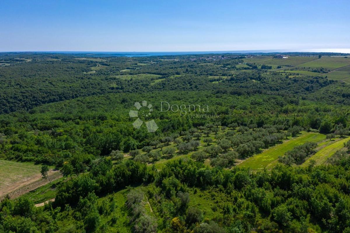 VILLA IN PIETRA CON VISTA APERTA SUL MARE E NELLA NATURA!