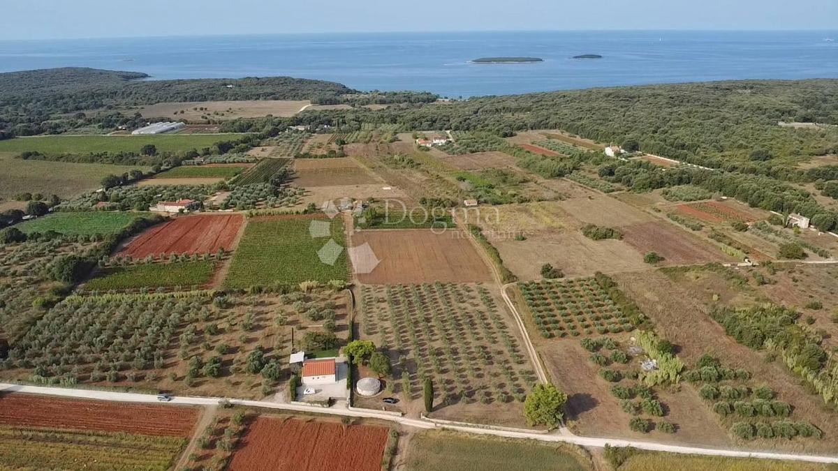 TERRENO CON PERMESSO DI EDILIZIA A 800 METRI DALLA SPIAGGIA