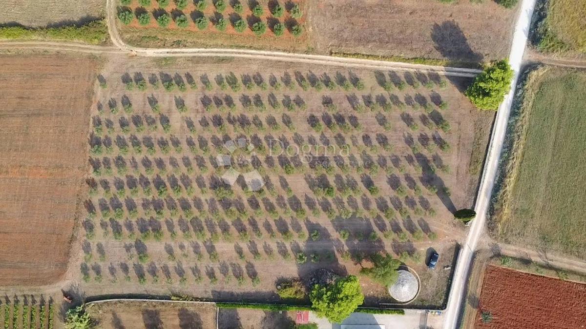 TERRENO CON PERMESSO DI EDILIZIA A 800 METRI DALLA SPIAGGIA