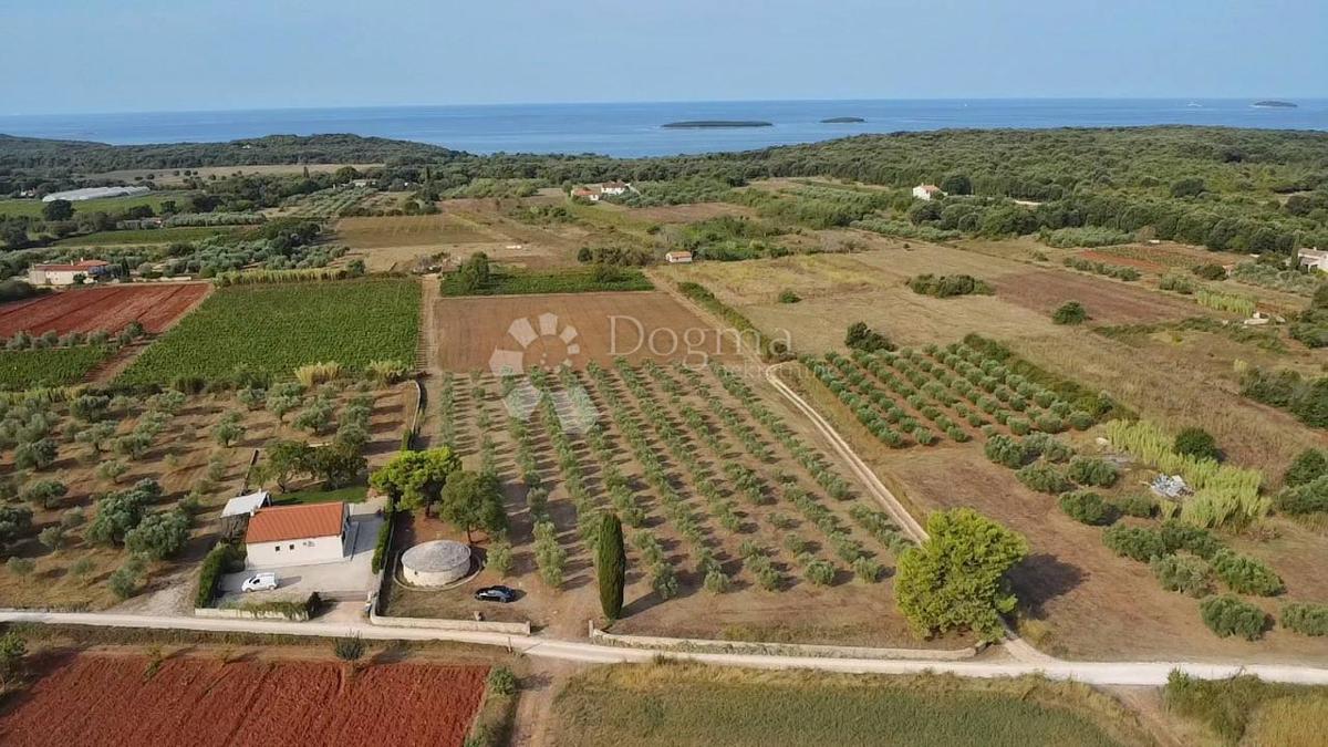 TERRENO CON PERMESSO DI EDILIZIA A 800 METRI DALLA SPIAGGIA