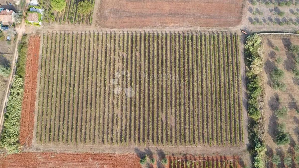 TERRENO CON PERMESSO DI EDILIZIA A 800 METRI DALLA SPIAGGIA