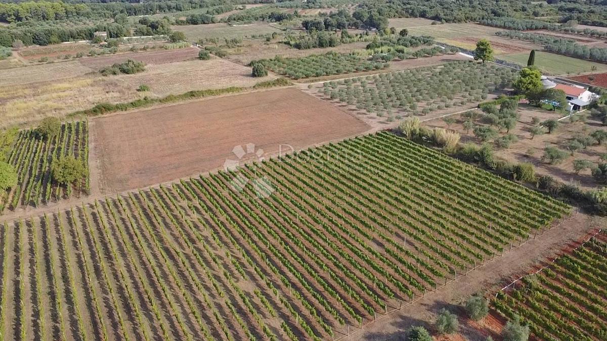 TERRENO CON PERMESSO DI EDILIZIA A 800 METRI DALLA SPIAGGIA