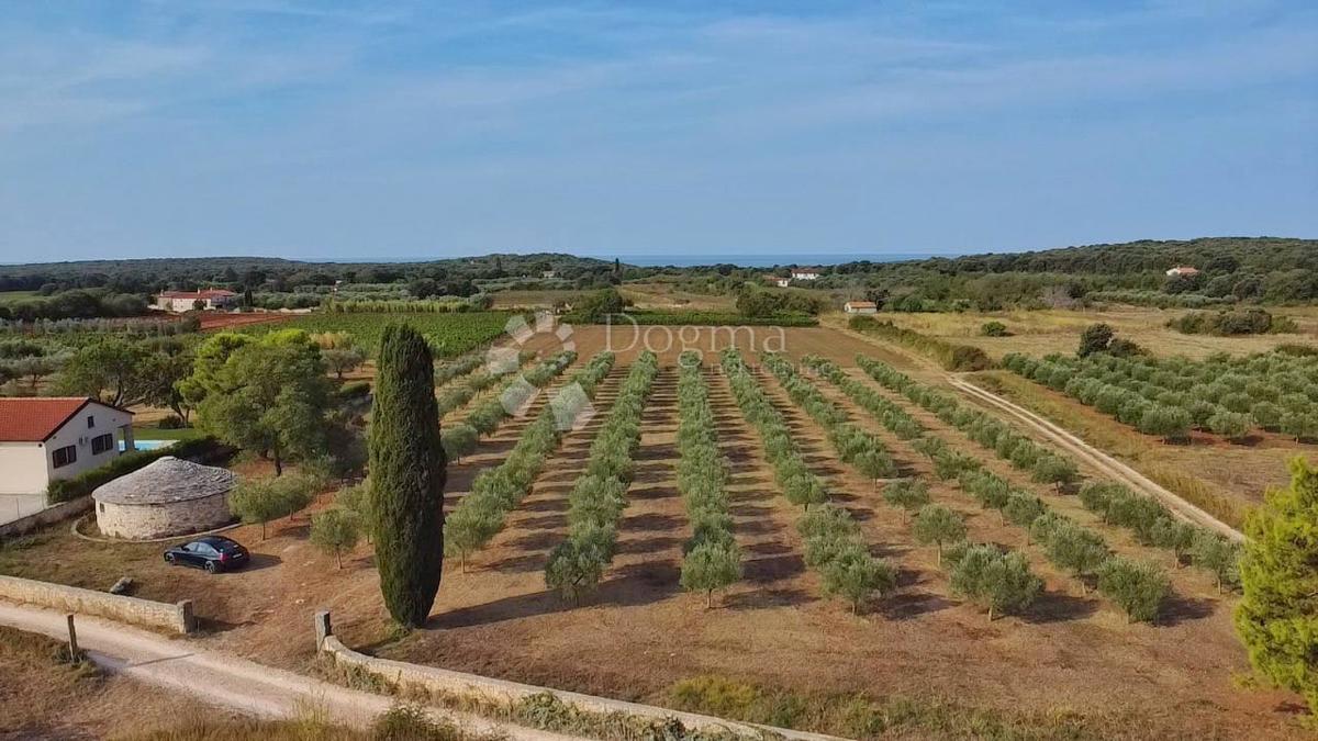 TERRENO CON PERMESSO DI EDILIZIA A 800 METRI DALLA SPIAGGIA