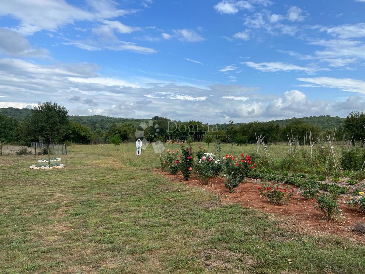 Terreno Rovinj, 6.150m2