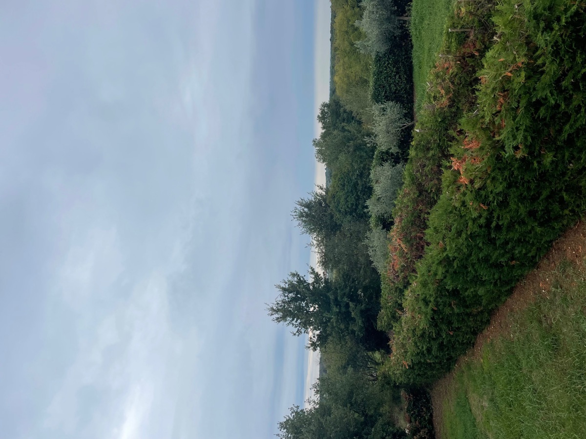 Casa Petrovija, Umag, 200m2