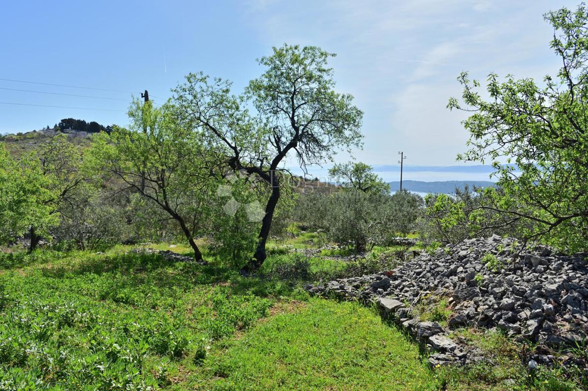 Terreno Seget Gornji, Seget, 13.512m2