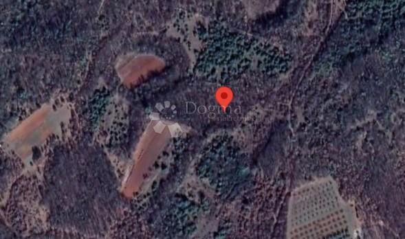 Terreno Vodnjan, 11.592m2