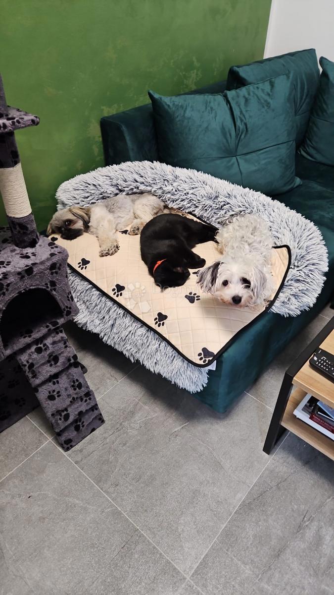 Appartamento Novalja, 46m2