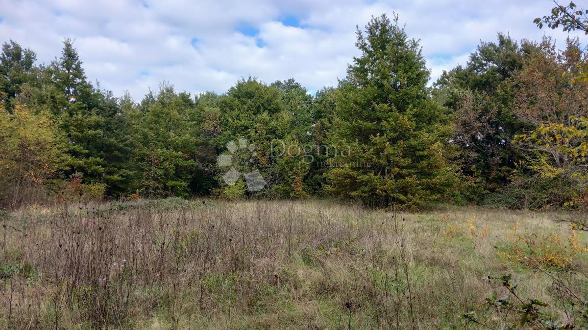 Terreno Labin, 1.380m2