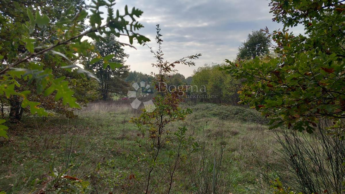 Terreno Labin, 1.380m2