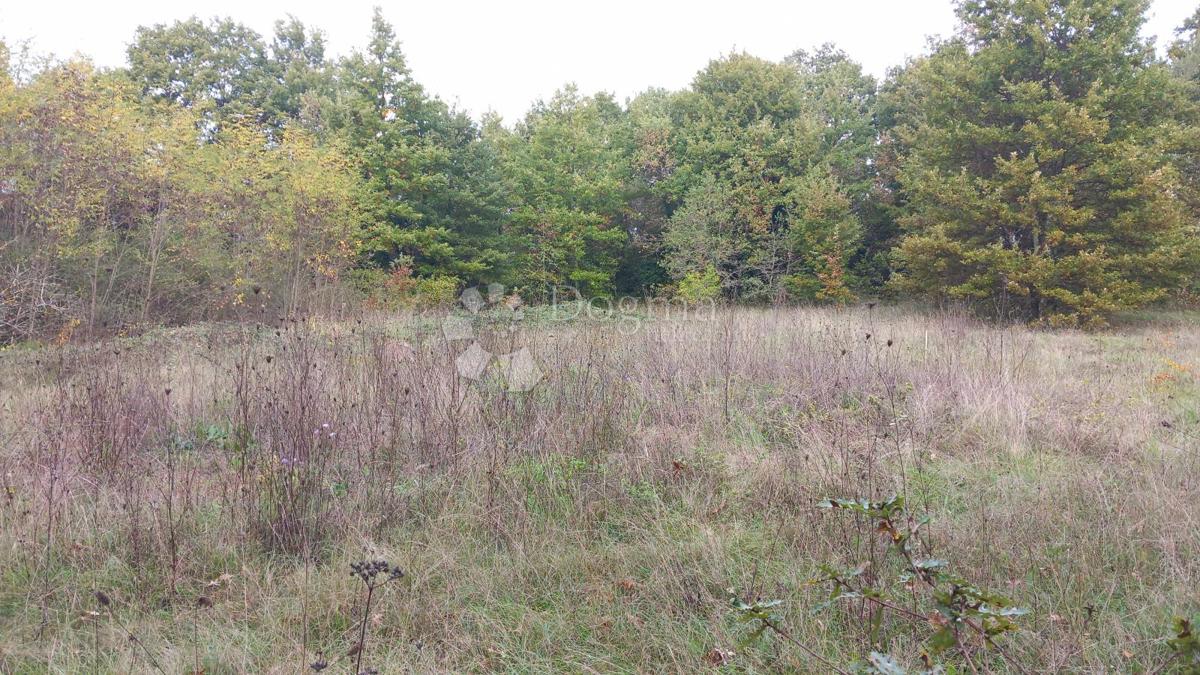 Terreno Labin, 1.380m2