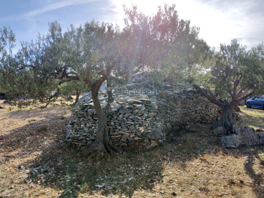 Terreno agricolo Postira, 8.273m2