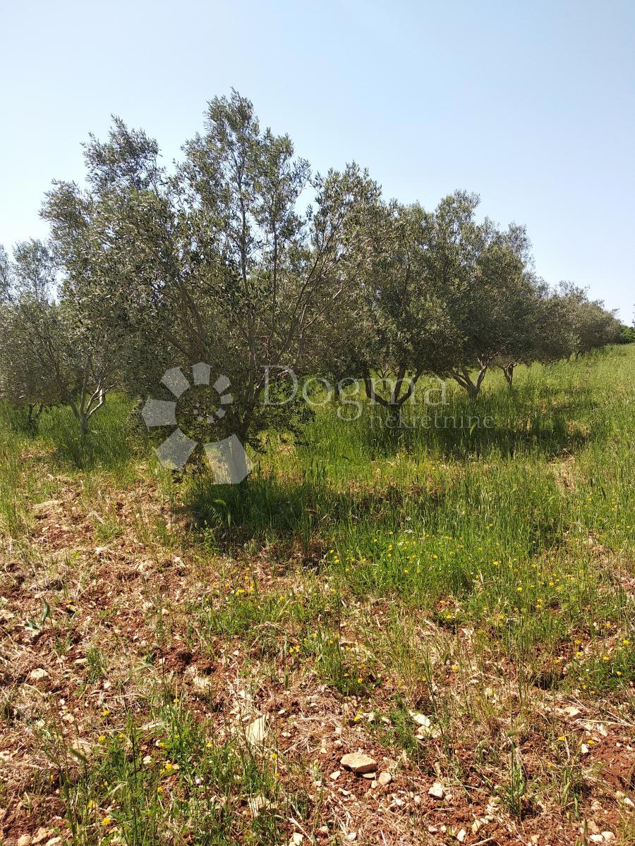 Terreno Peroj, Vodnjan, 8.511m2
