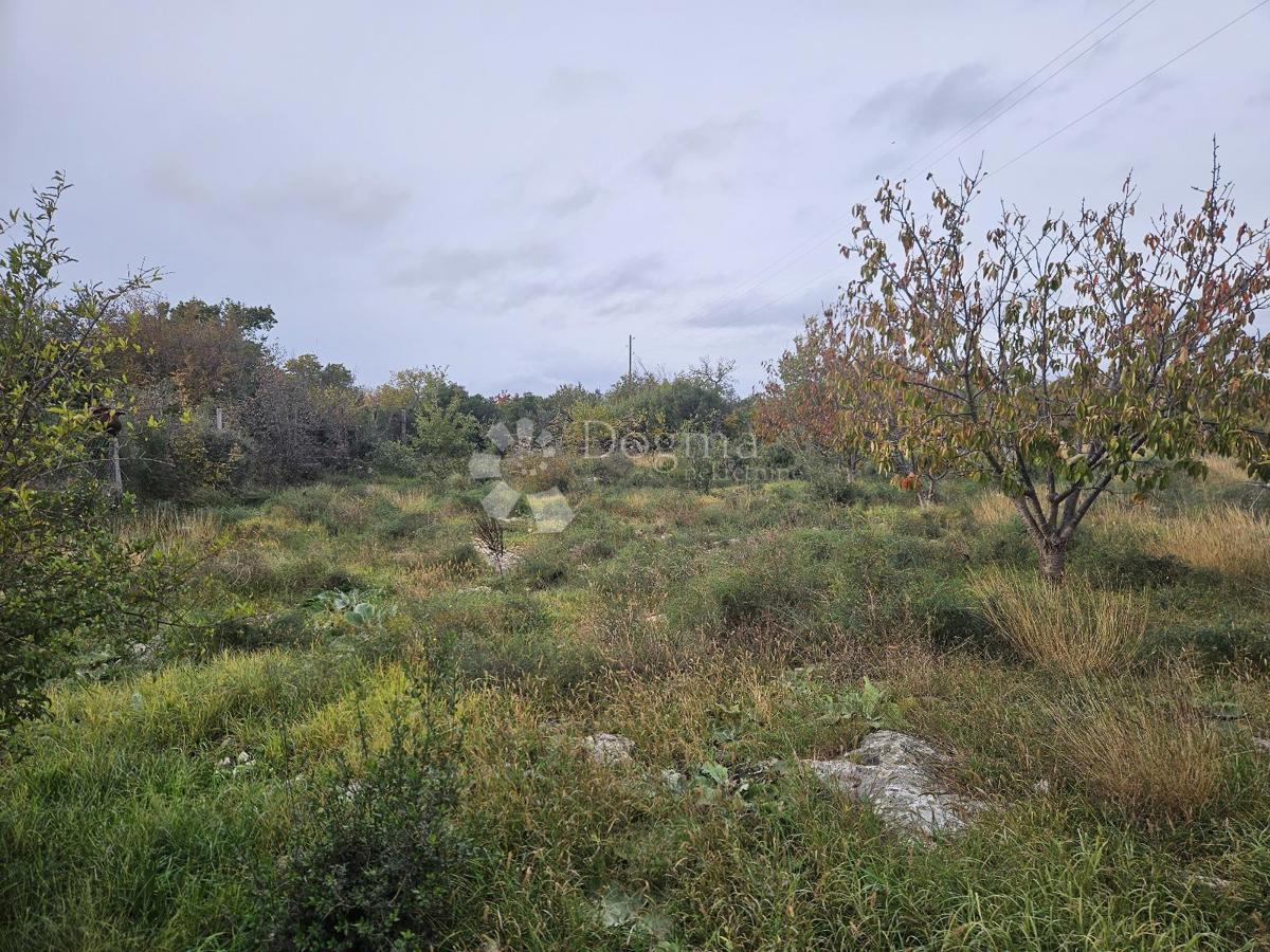 Terreno agricolo Polača, 1.699m2