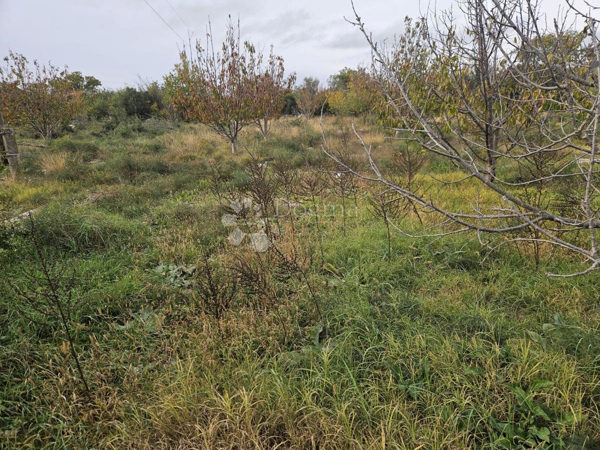 Terreno agricolo Polača, 1.699m2