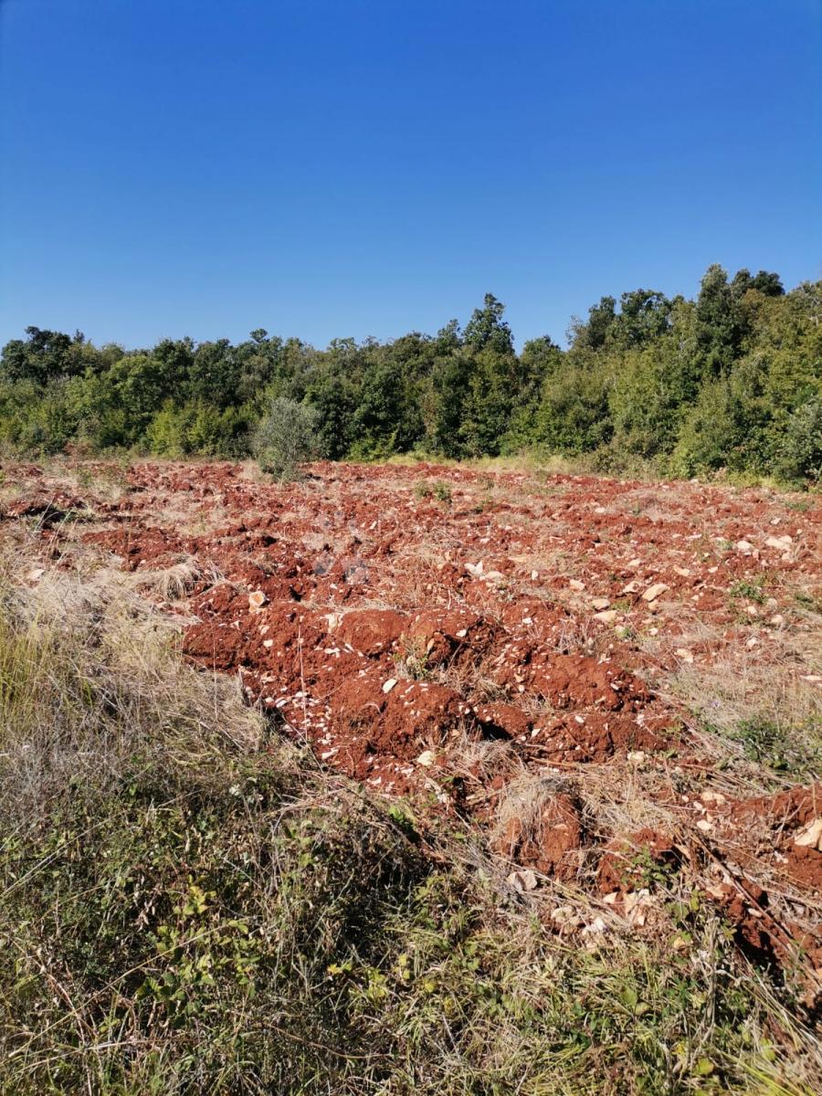 Terreno agricolo nei pressi di Valtura