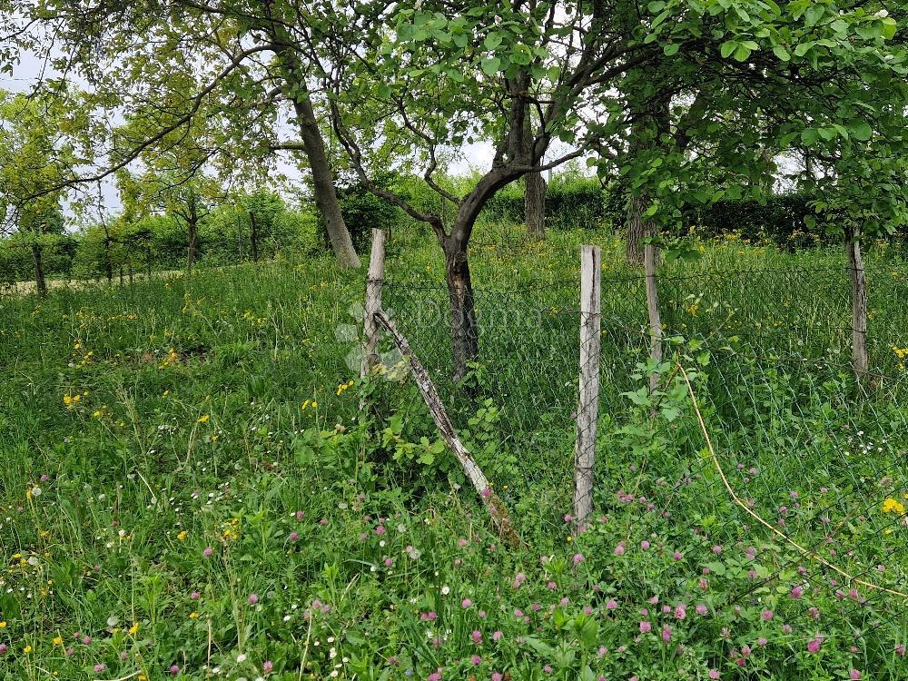 Casa Podsused, Podsused - Vrapče, 100m2