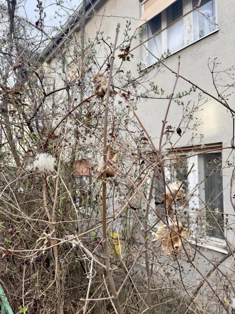 Casa Maksimir, 276m2