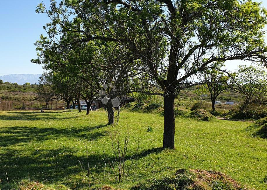 Terreno in vendita in una zona tranquilla di Zara - ottimo potenziale!