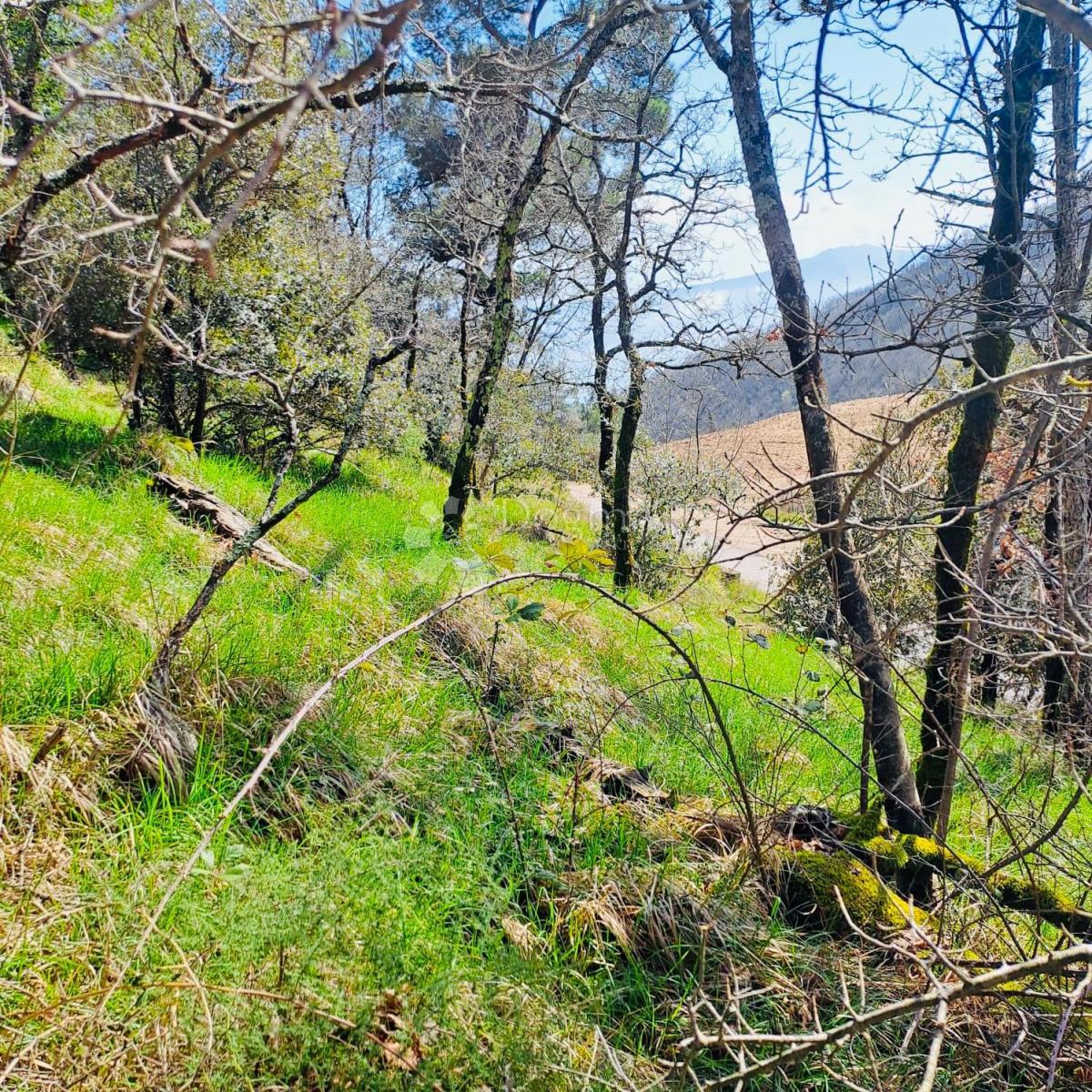 Terreno agricolo Marinići, Viškovo, 7.399m2