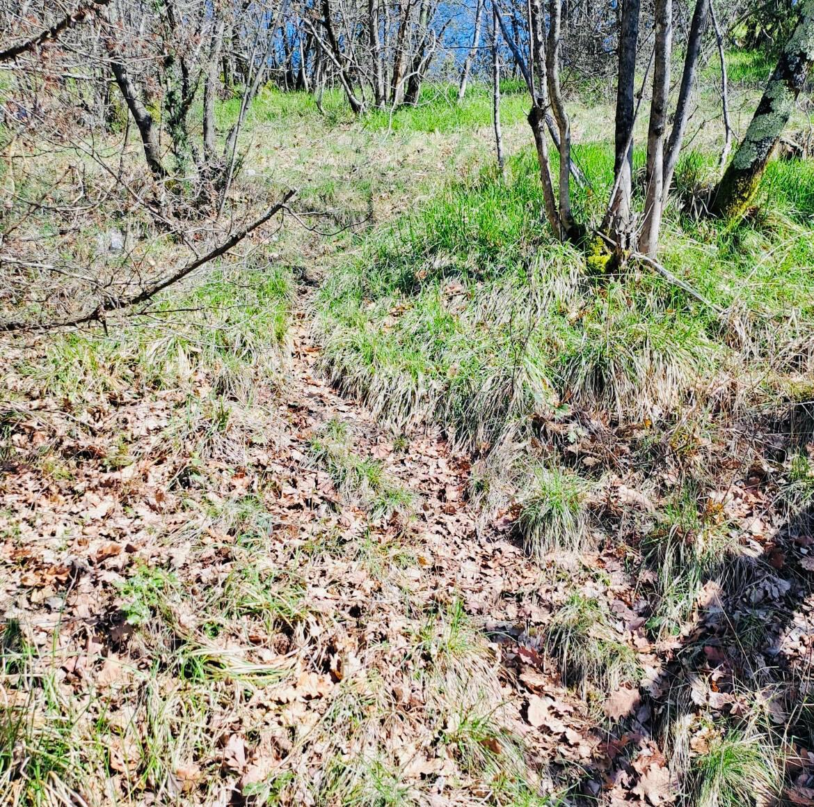 Terreno agricolo Marinići, Viškovo, 7.399m2