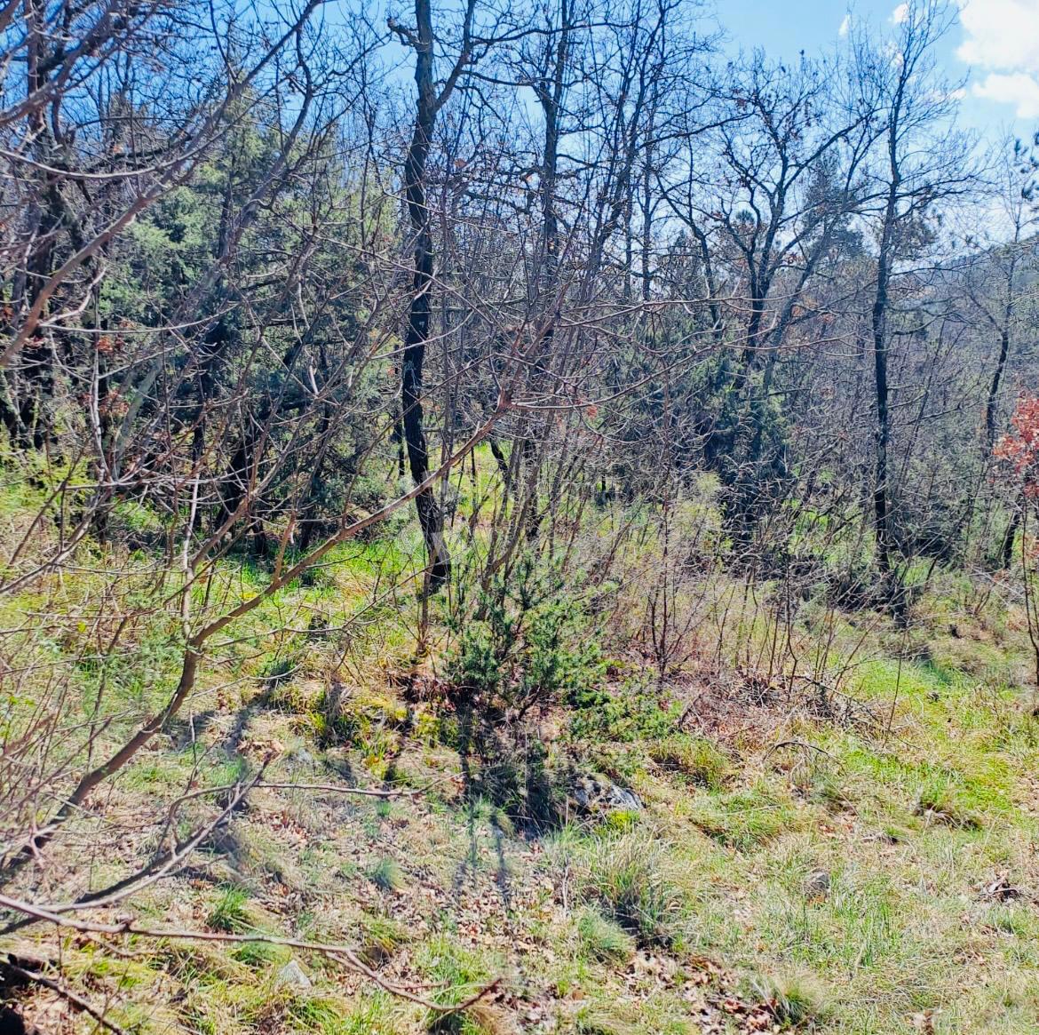 Terreno agricolo Marinići, Viškovo, 7.399m2