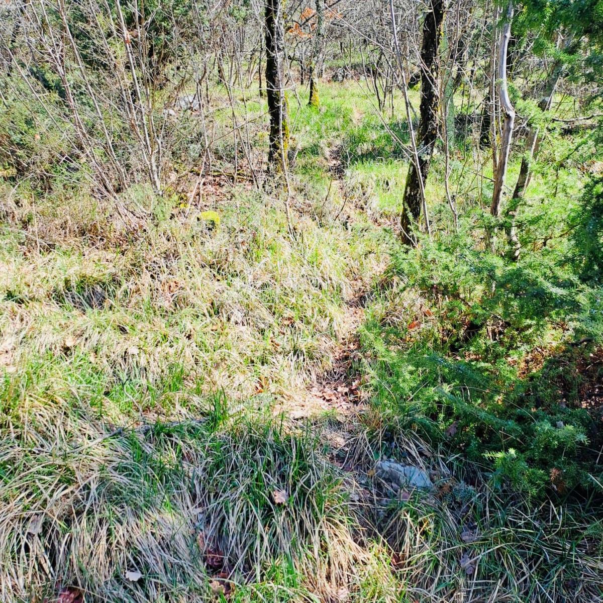 Terreno agricolo Marinići, Viškovo, 7.399m2