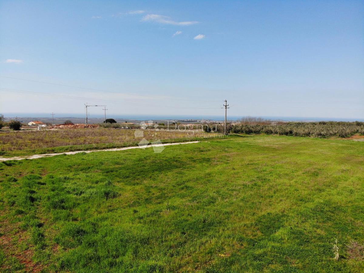Terreno edificabile Poreč, 1.157m2