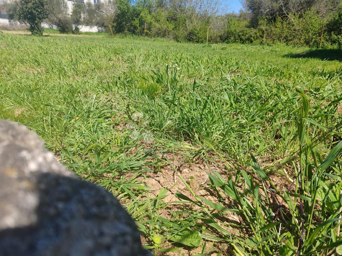 Terreno edificabile Kožino vicino al mare