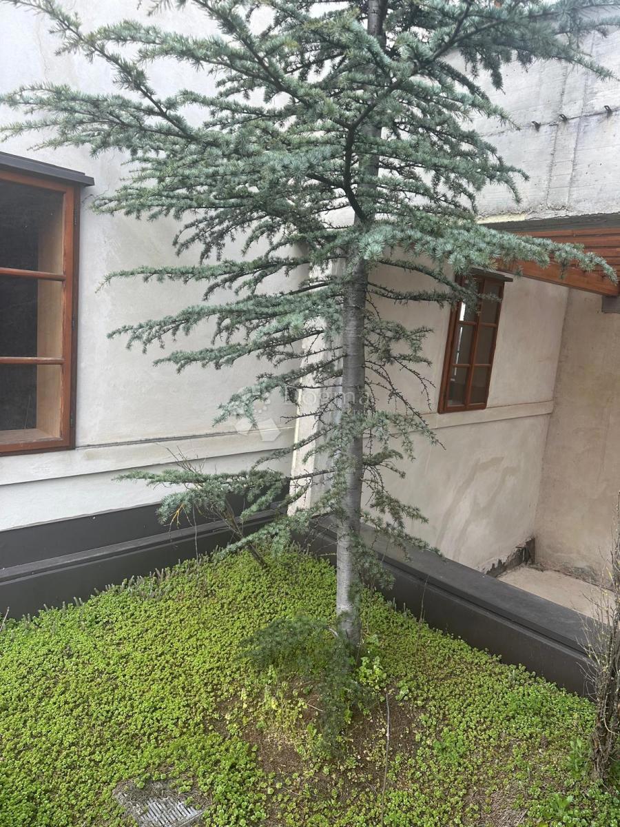 Casa Centar, Varaždin, 824m2