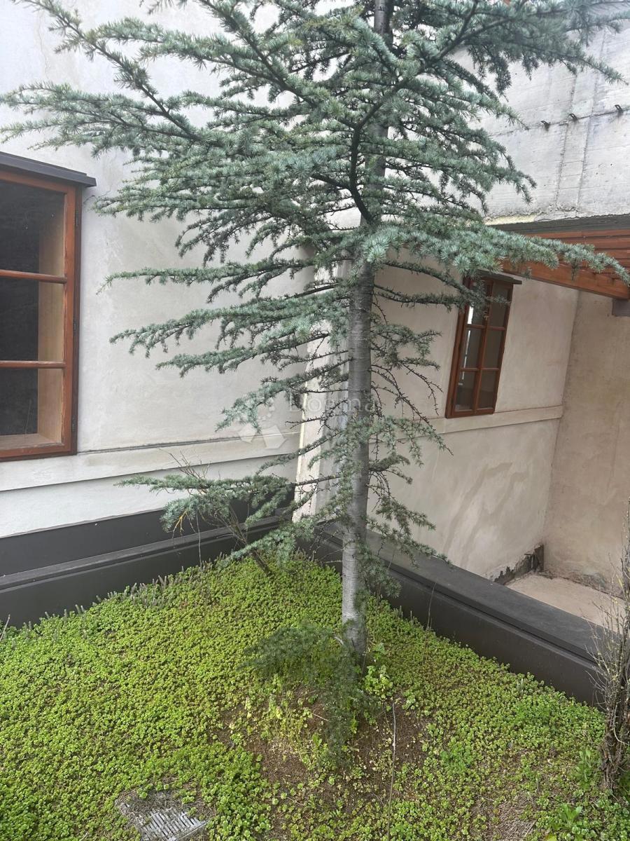 Casa Centar, Varaždin, 824m2