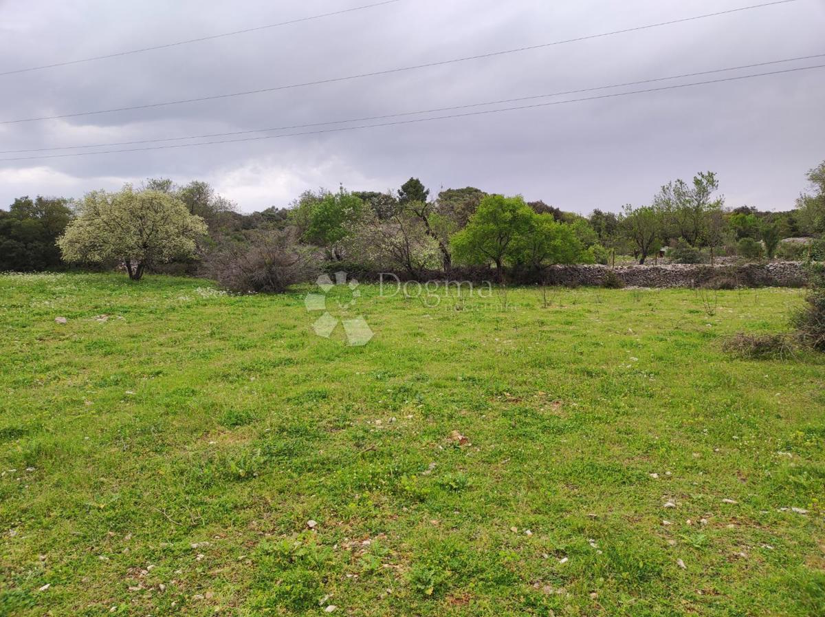 Terreno agricolo Selca, 11.274m2