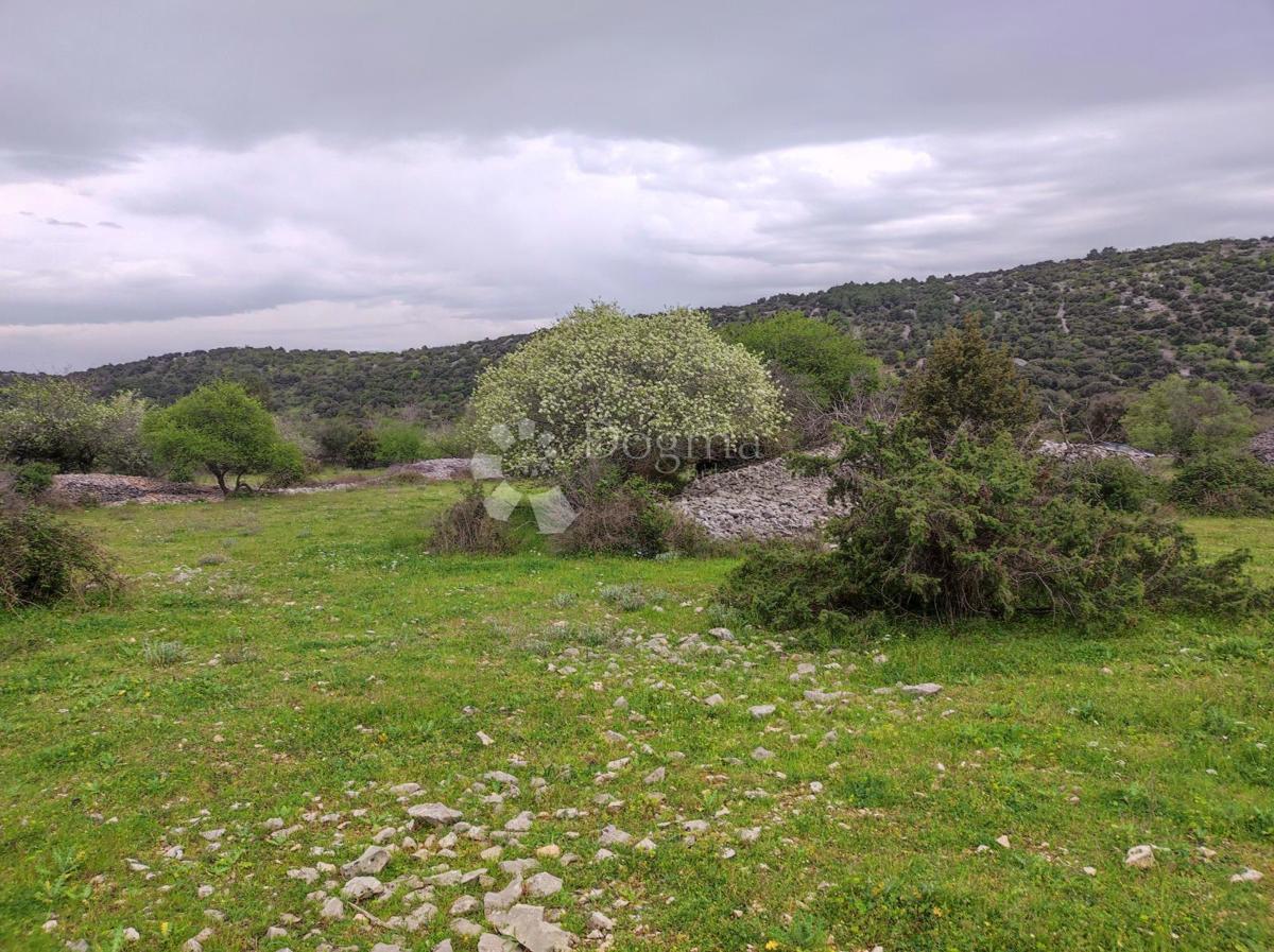 Terreno agricolo Selca, 11.274m2
