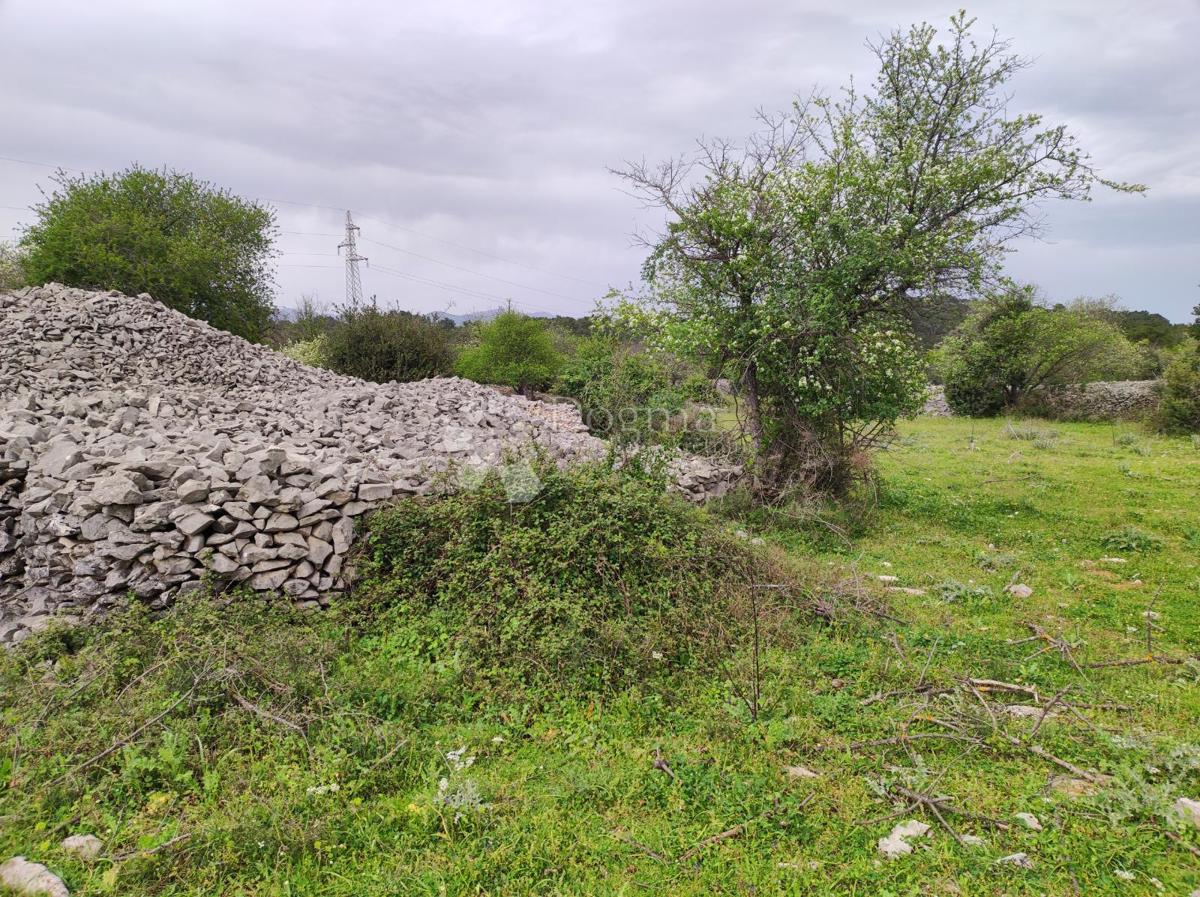 Terreno agricolo Selca, 11.274m2