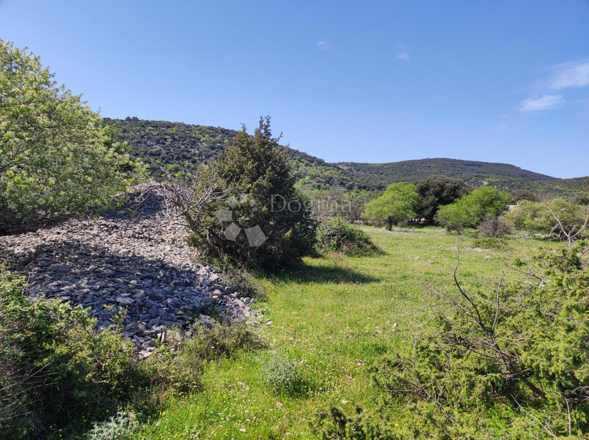Terreno agricolo Selca, 11.274m2