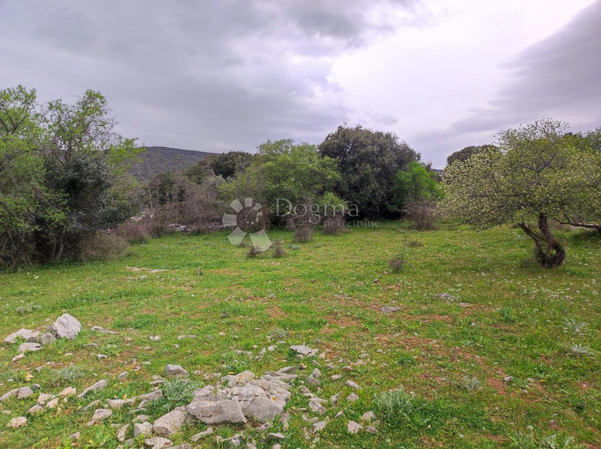 Terreno agricolo Selca, 11.274m2