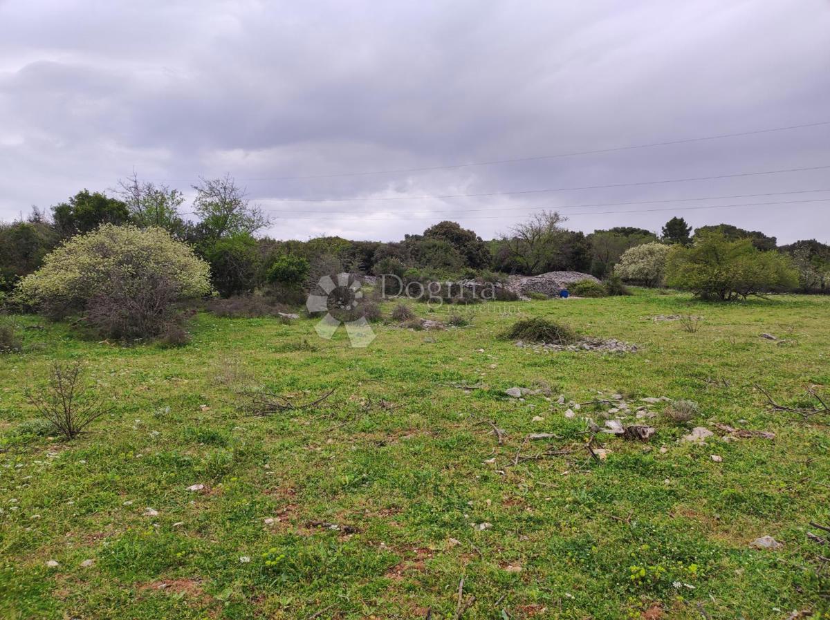 Terreno agricolo Selca, 11.274m2
