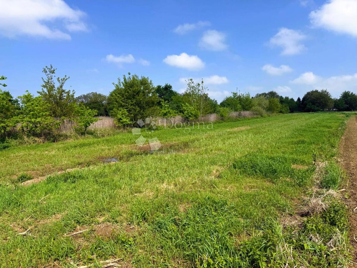 Terreno agricolo Miklinovec, Koprivnica, 2.935m2
