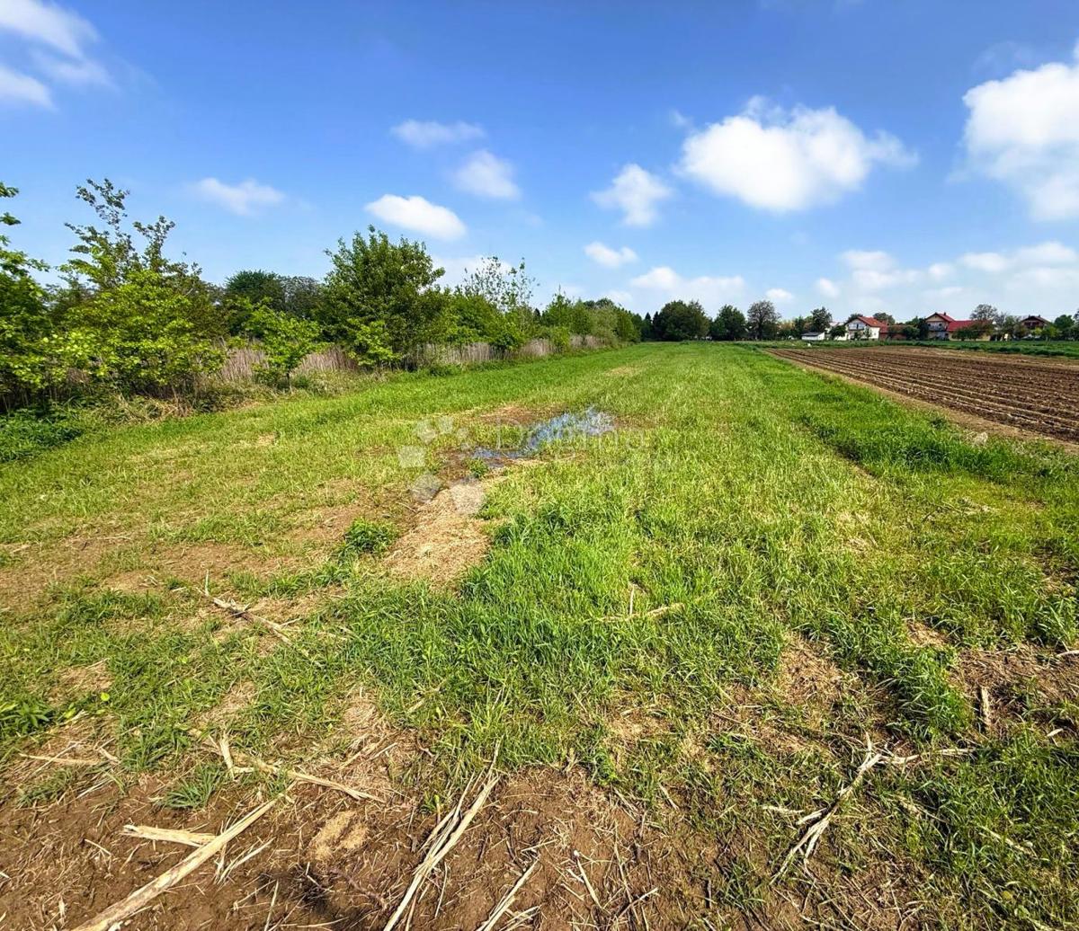 Terreno agricolo Miklinovec, Koprivnica, 2.935m2