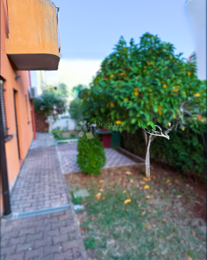 Allogio Novigrad, 44,01m2