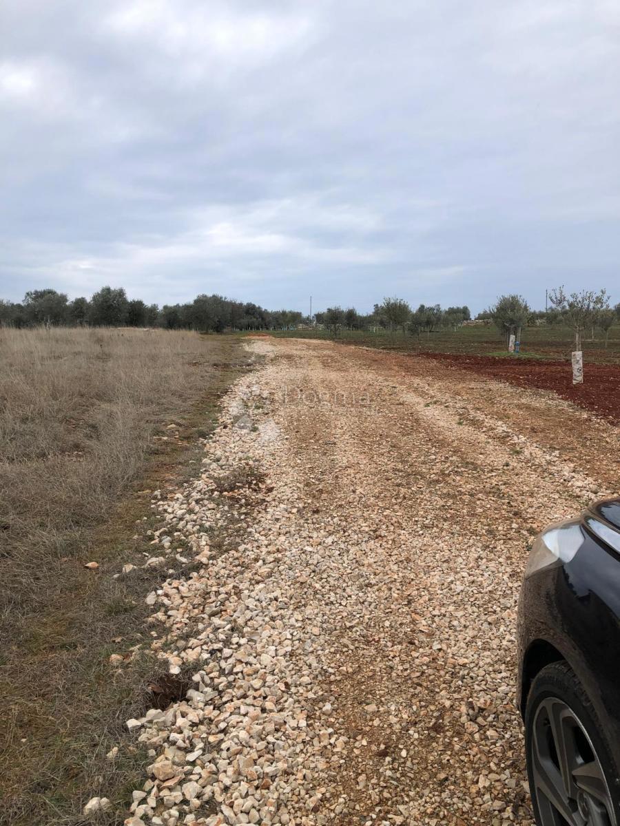 Terreno edificabile Umag, 9.375m2