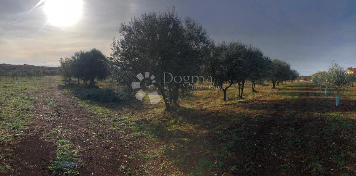 Terreno edificabile Umag, 9.375m2